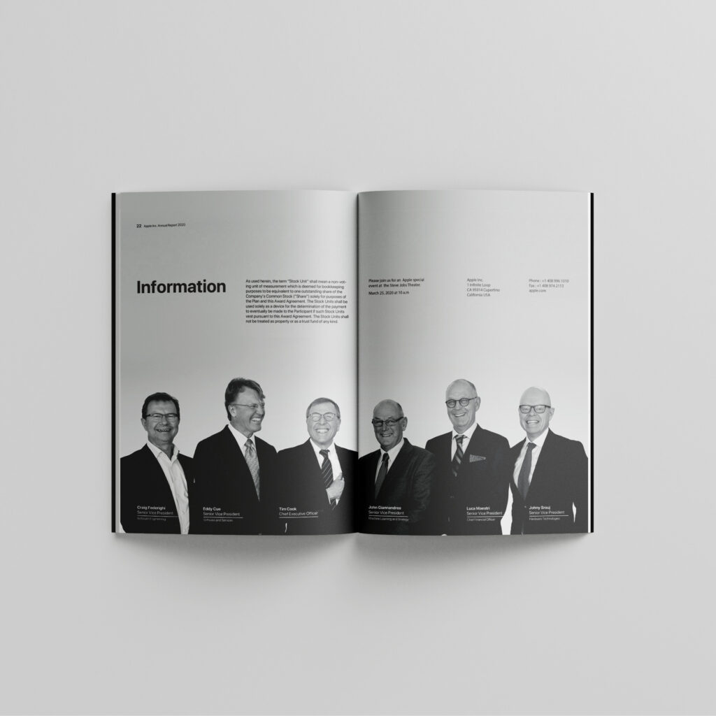 desain annual report apple